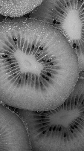 max-bohme-p5Ljx_H2F8o-unsplash