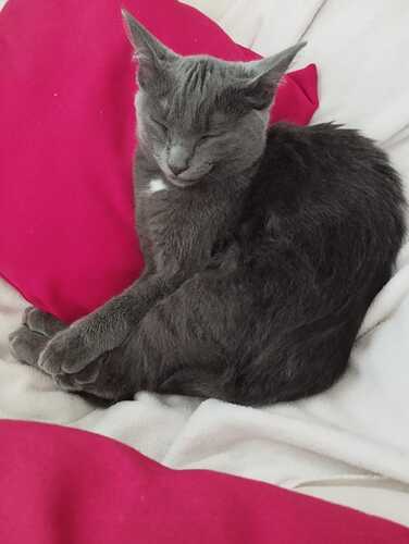 WhatsApp Image 2025-09-26 at 14.29.22_0053378e