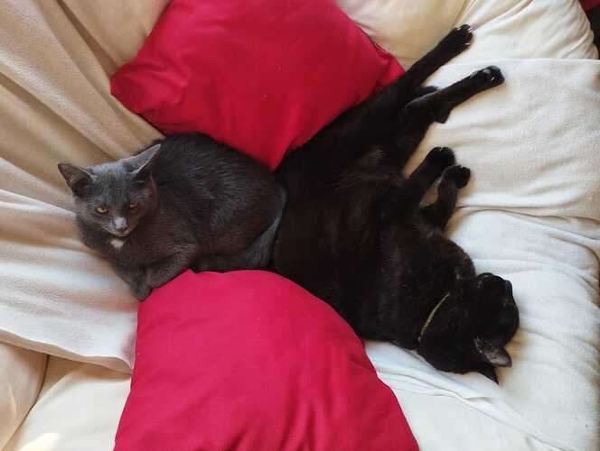 WhatsApp Image 2025-10-12 at 18.29.59_585a6e6f