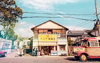 Namiya