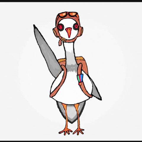 Bird-salute GIFs - Get the best GIF on GIPHY